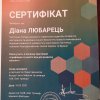 Воркшоп від Фонду Зайделя в Україні на тему:  «Ігрофікація та освітні ігри для розвитку спільнот»