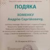 Студентська команда юристів-міжнародників 