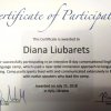 gallery of student activity