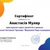 gallery of student activity